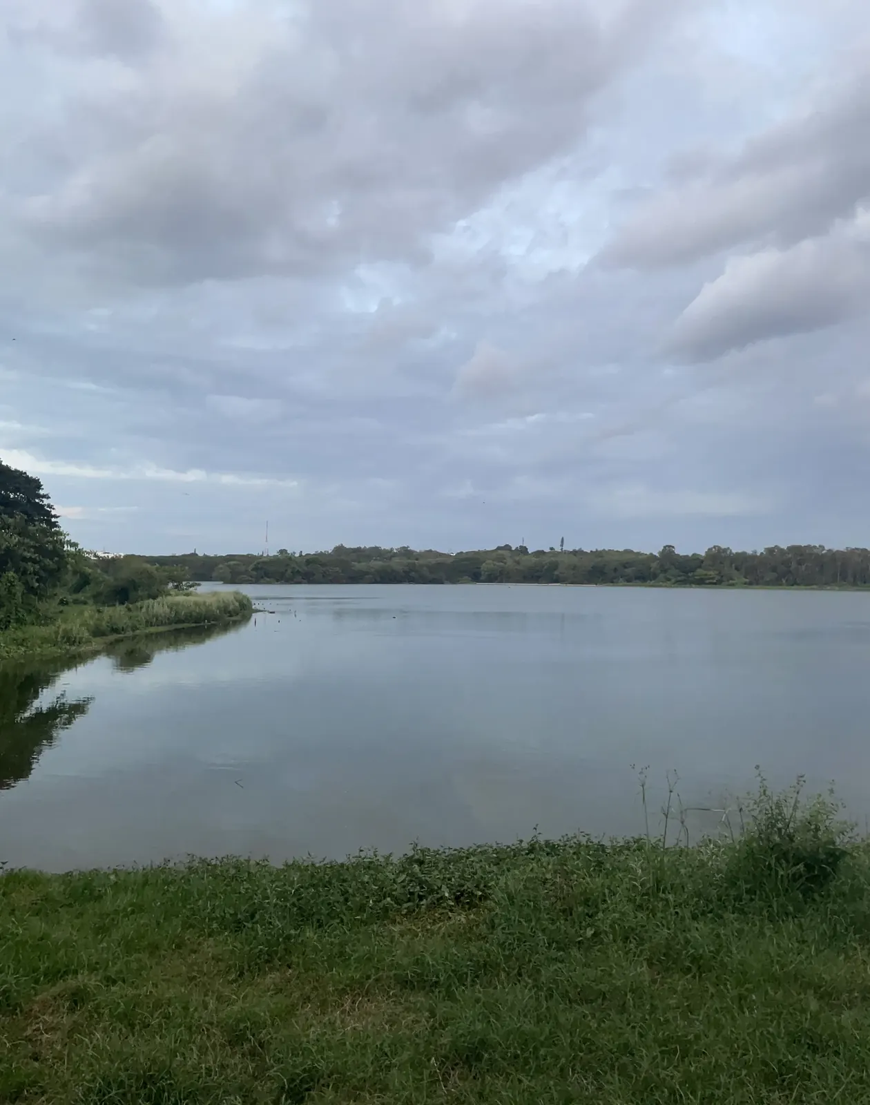 Calm water at Kukkarahalli Lake in the evening light, Mysuru