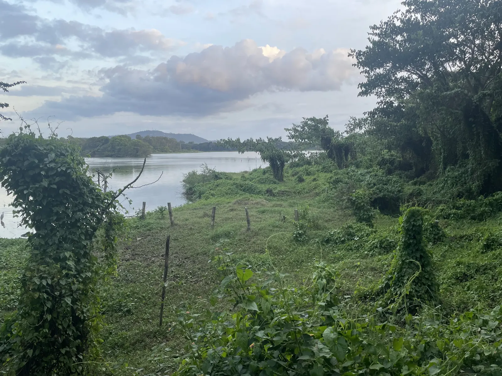 Wide view of Kukkarahalli Lake under a cloudy sky